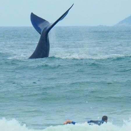 Tranquilidade Na Praia Da Gamboa Garopaba Exterior foto